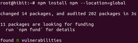 npm_installation.png