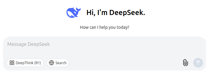 DeepSeek prompt view