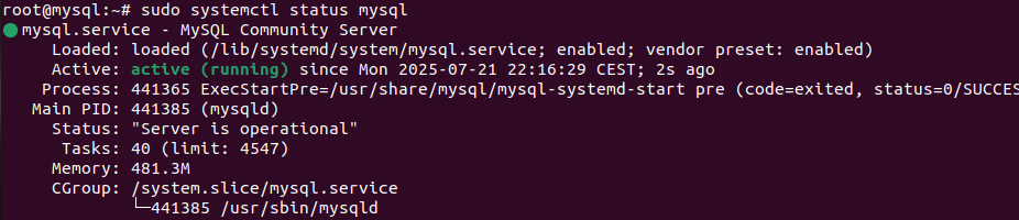 MySQL service status